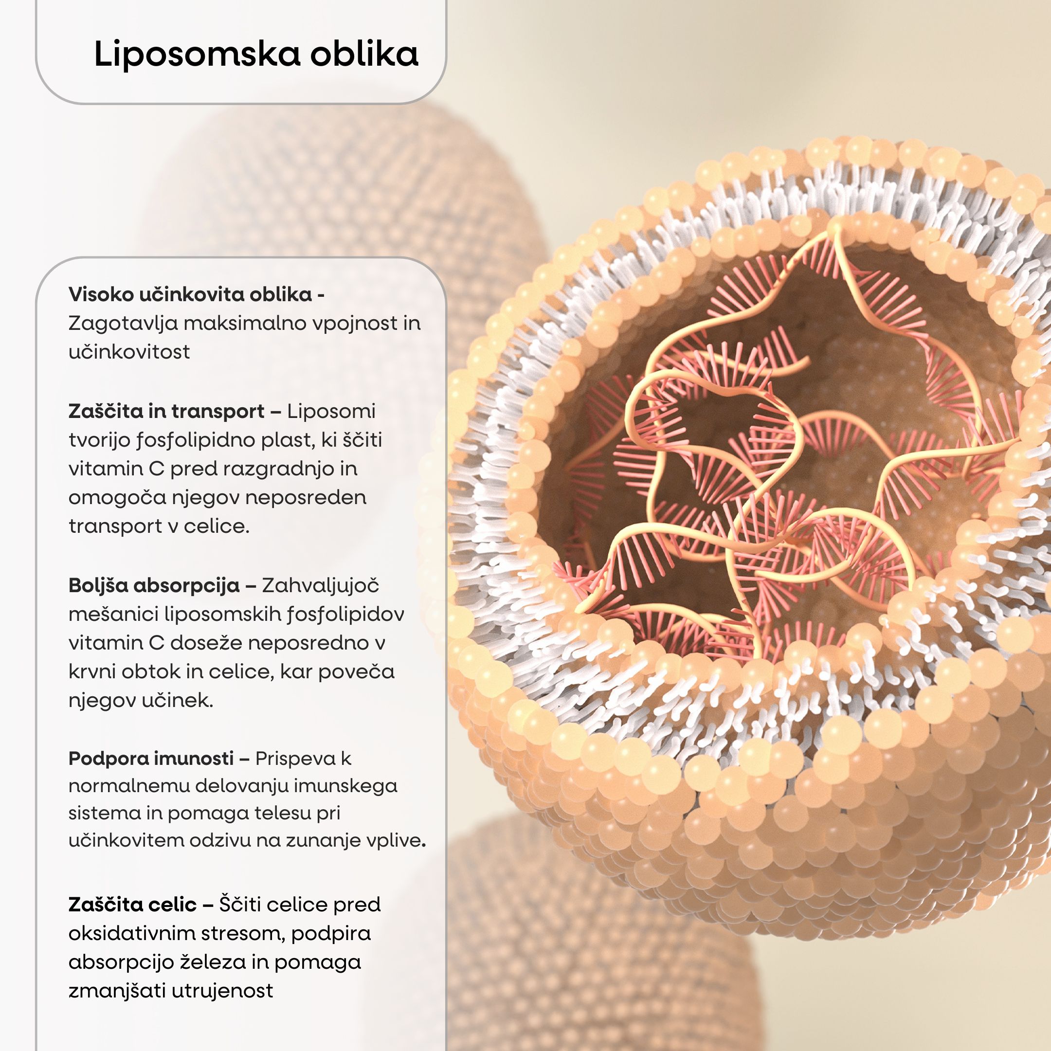 (Slovinština) (39)